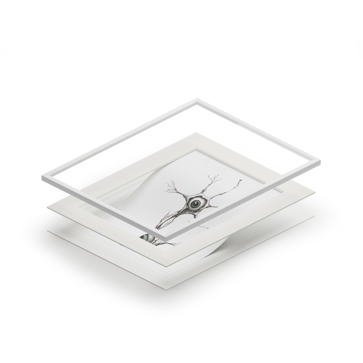 Fine Art Print - "Nocturnal Neuron"