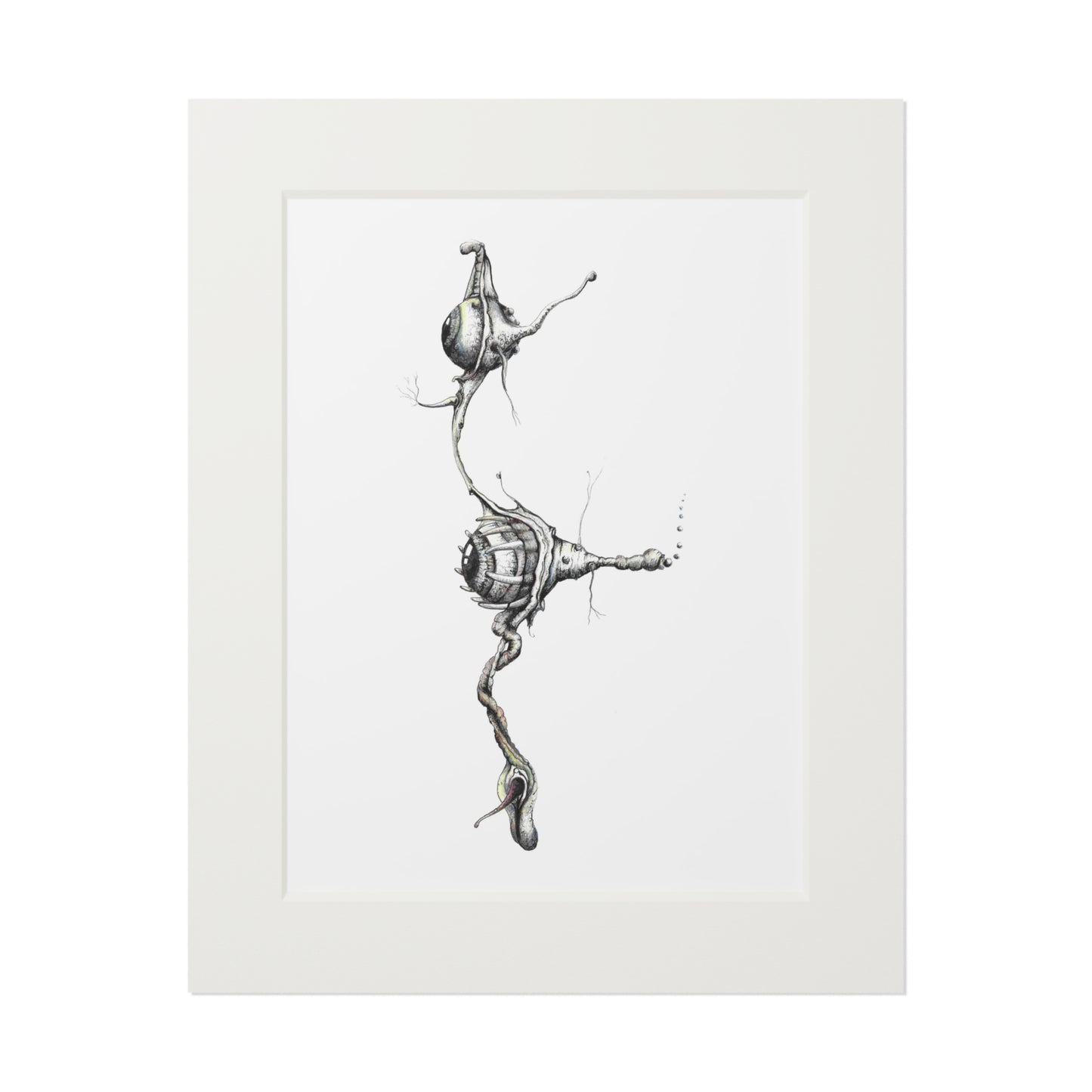 Fine Art Print - "Vesperian Echo"