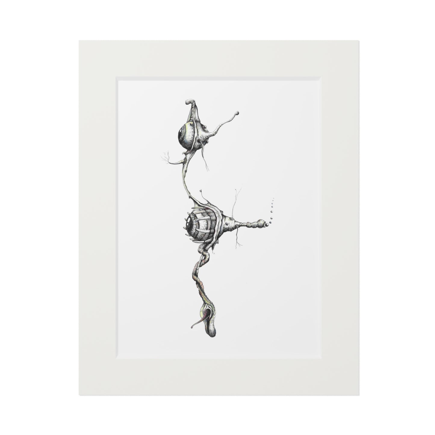 Fine Art Print - "Vesperian Echo"