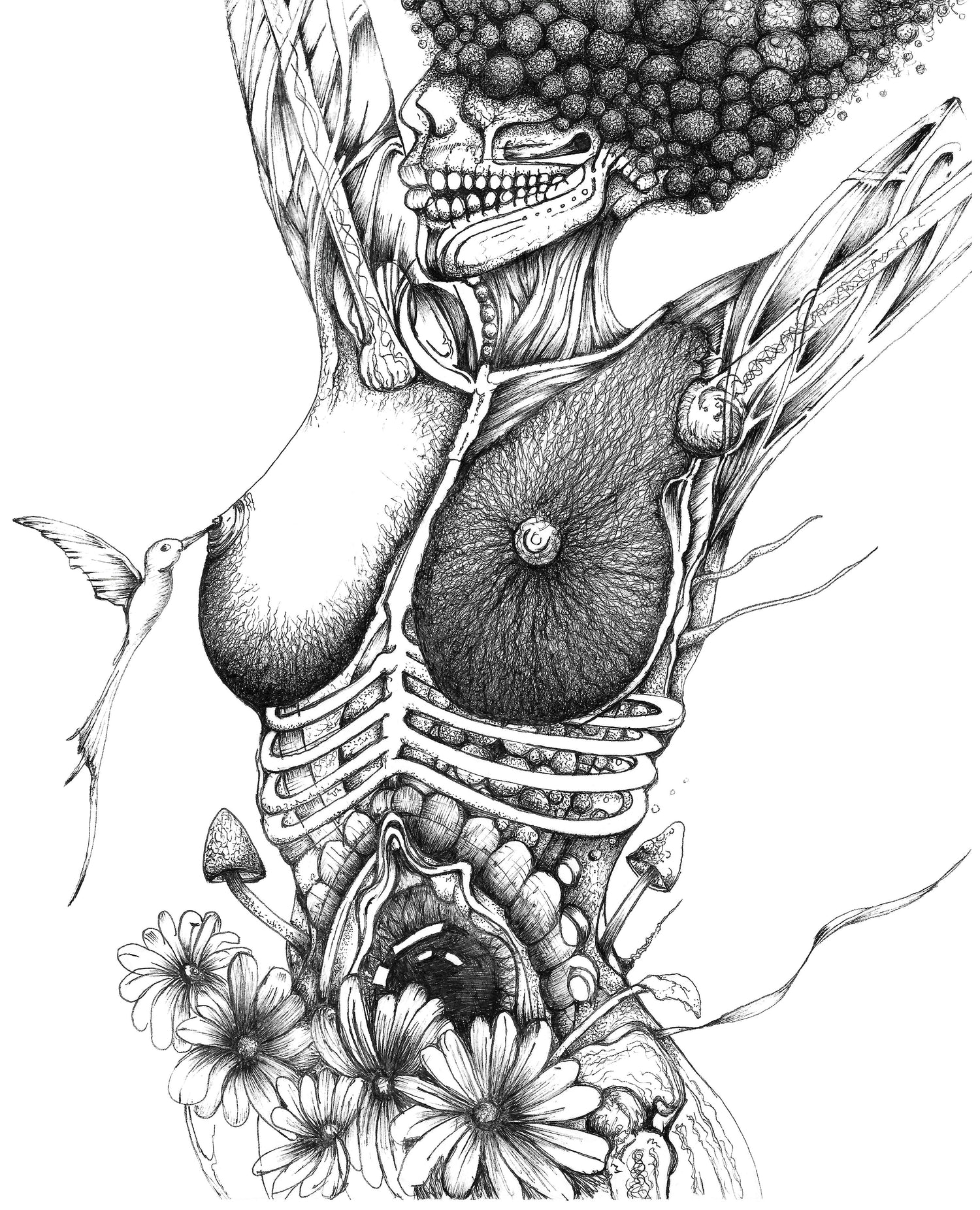 Art Prints