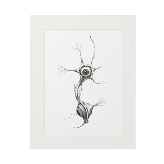 Fine Art Print - "Nocturnal Neuron"