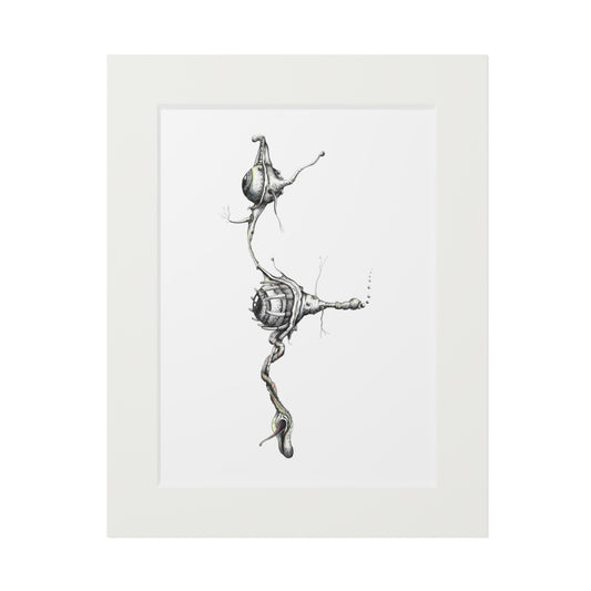 Fine Art Print - "Vesperian Echo"